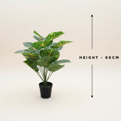 Artificial Quality Plant | 60cm Height Home Office Garden | HOG-HomeOfficeGarden | online marketplace