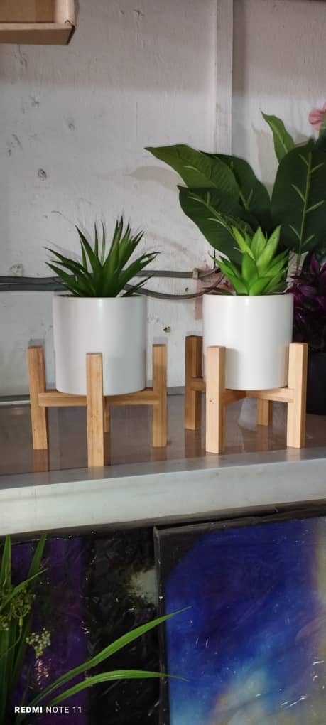 Potted Green Artificial Succulent with Wooden Stand