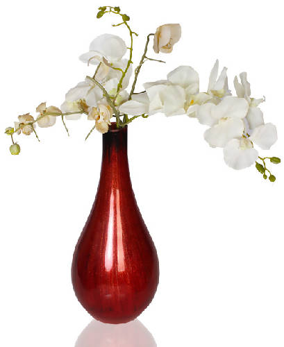 Glass Vase Home Office Garden | HOG-HomeOfficeGarden | online marketplace
