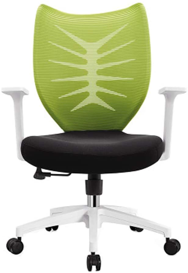Ergonomic Mesh Chairs