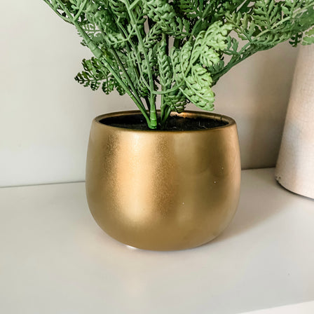 Fern in Gold Ceramic Pot Home Office Garden | HOG-HomeOfficeGarden | online marketplace