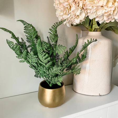 Fern in Gold Ceramic Pot Home Office Garden | HOG-HomeOfficeGarden | online marketplace