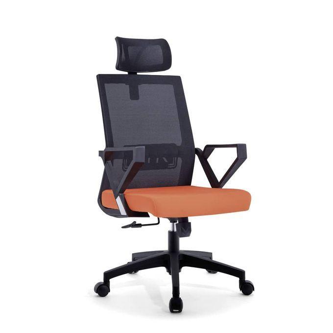 Stylish Ergonomic Swivel Office Chair