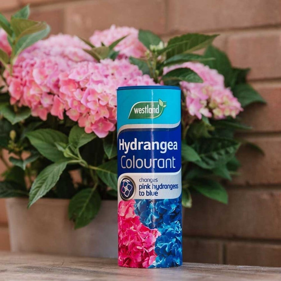 Westland Hydrangea Colourant Home Office Garden | HOG-HomeOfficeGarden | online marketplace
