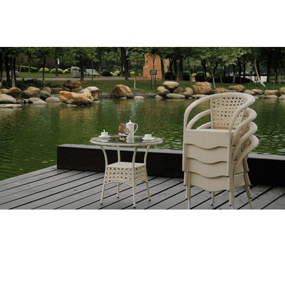 Wicker Garden Set