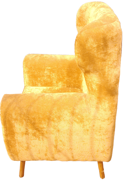 Windhoek Wing-back Armchair