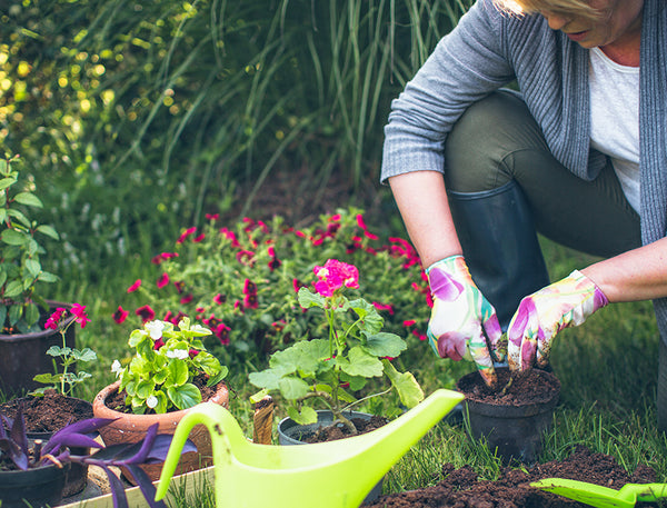Benefits of Gardening in Terms of Your Health and Wellness