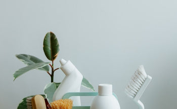 5 Essential Cleaning Products you Need for Your Home