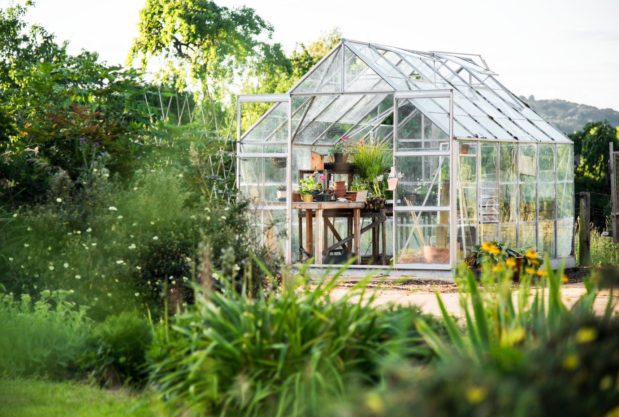 A Step-By-Step Guide To Setting Up A Greenhouse