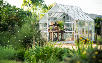 A Step-By-Step Guide To Setting Up A Greenhouse