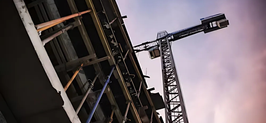 Building Foundations: The Synergy Between Construction and AQF5 Arborists