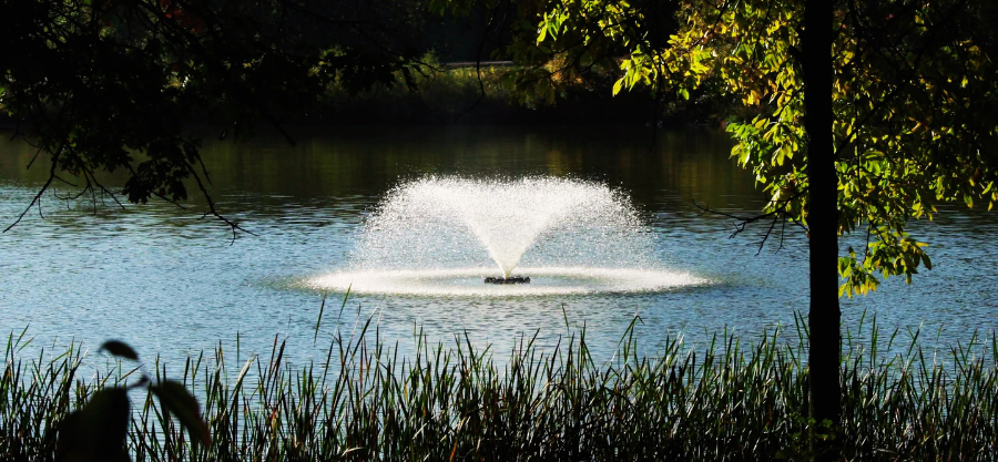 The Ultimate Checklist for Choosing a Fountain Tech Company You Can Trust for the Long-Term