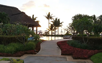 Garden Man Cave Ideas: The Ultimate Escape in Your Garden