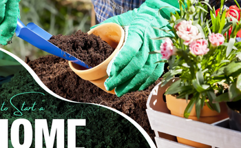 How to Start a Home Garden: Tools, Soil & Plant Guide