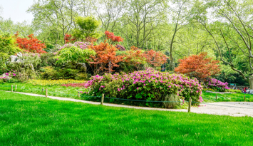 The Zero-Skill Gardener’s Guide to Backyard Landscaping