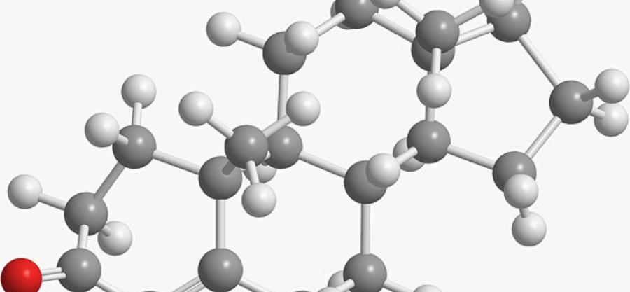 Bioidentical Hormone Replacement Therapy vs. Traditional HRT: Crucial Differences Explained