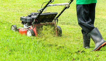 Lawn Mowing in Tauranga: A Homeowner