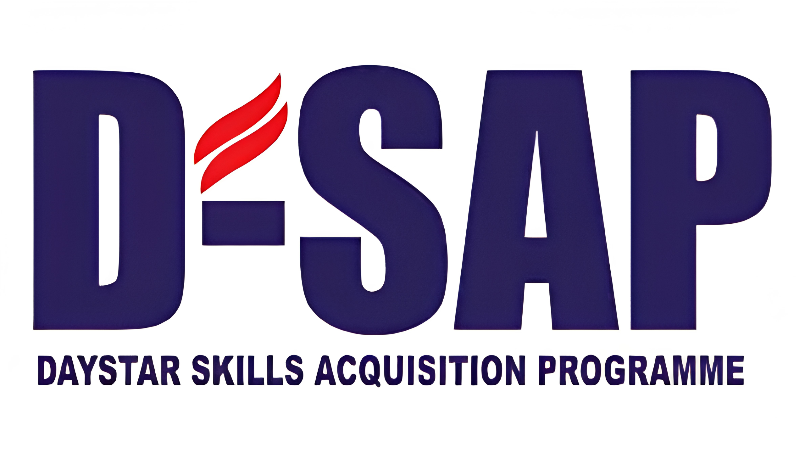 DSAP Experience: My Journey, Lessons, and Transformation