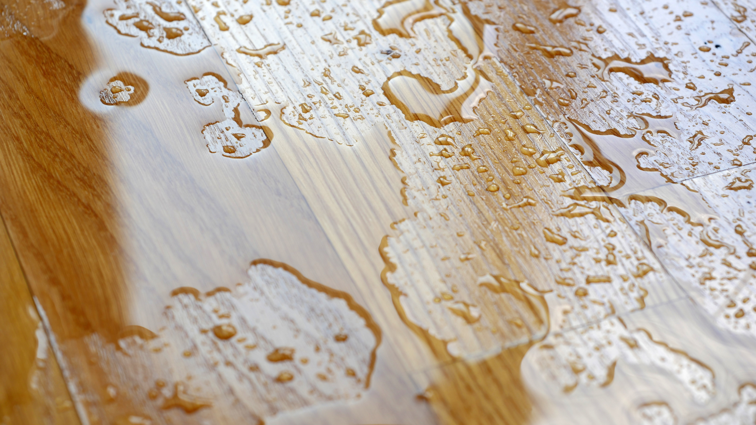 How Long Does Water Damage Take to Dry? (2026 Homeowner's Guide)