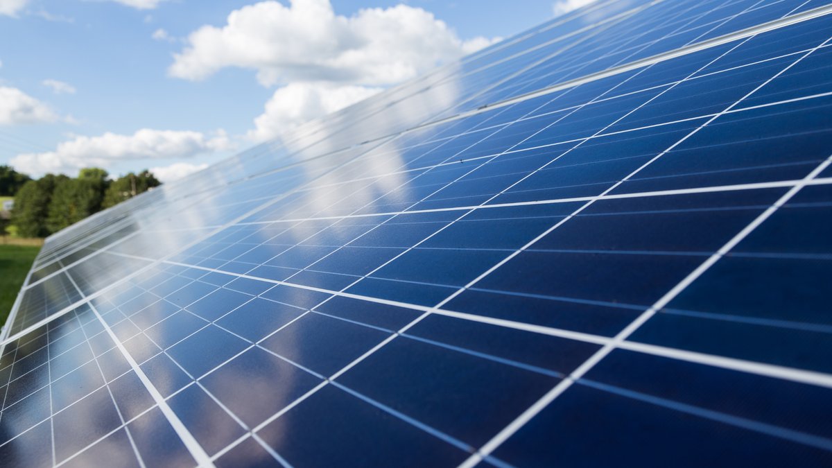 How to Choose the Right Renewable Energy Company for Your Business