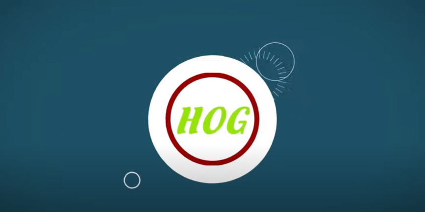 HOG guide on how to shop online