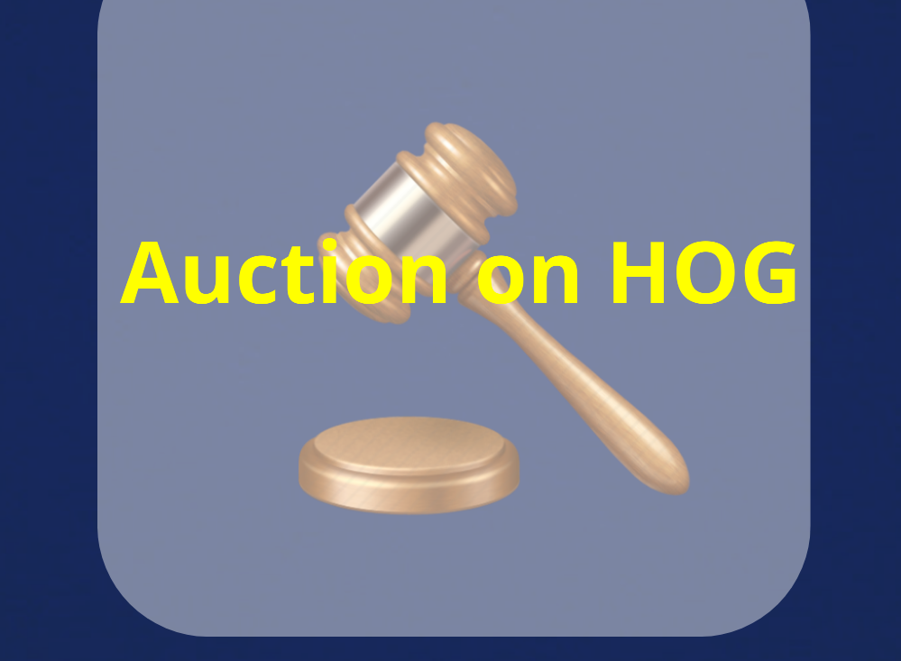 HOG auction