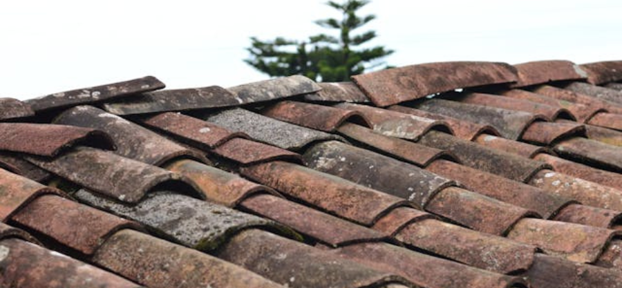 Why Roofing Maintenance is Important