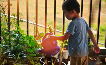 How To Start A School Garden: The Ultimate Guide
