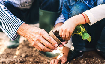 Teach Your Kids the Art of Plant Care