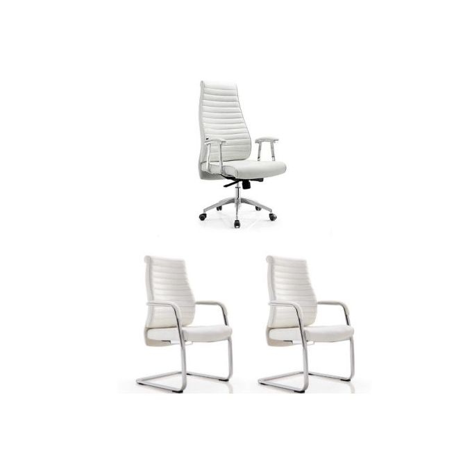 modern-executive-director-office-swivel-and-visitors-chair