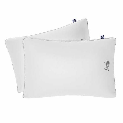 Sealy Sterling Collection Down-alternative Queen Pillow, 2-pack. Home Office Garden | HOG-HomeOfficeGarden | online marketplace