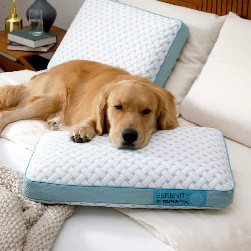 Serenity By Tempur-pedic Cooling Memory Foam Pillow. Home Office Garden | HOG-HomeOfficeGarden | online marketplace