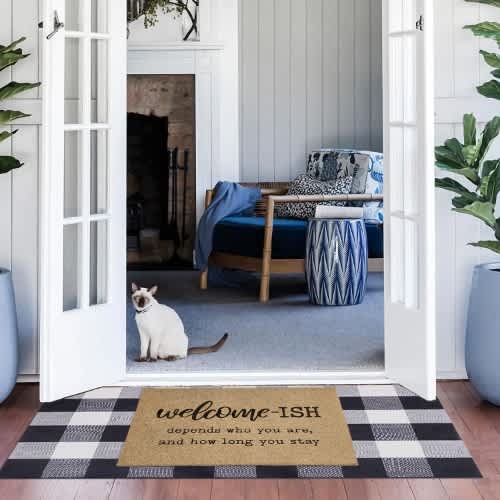 Welcome-ISH Non-Slip Door Mat