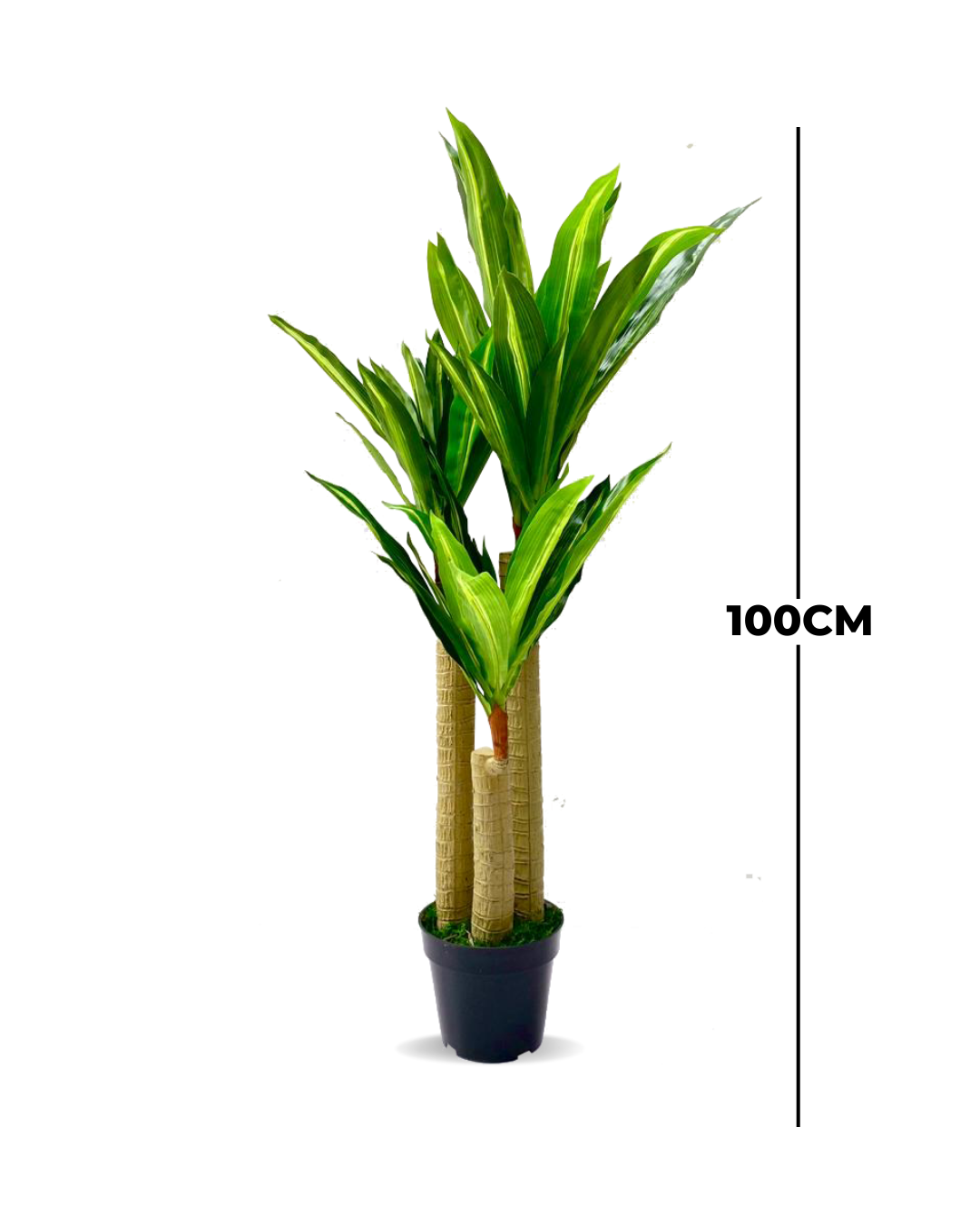 Artificial Dracaena Plant | 100cm Height Home, Office, Garden online marketplace