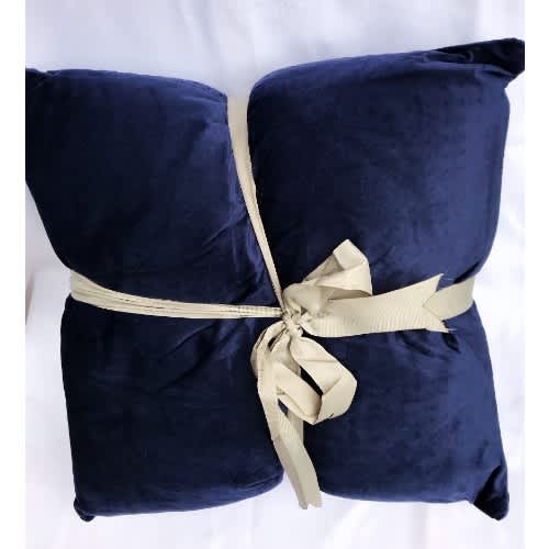 Country Club 2pc Embossed Velvet Throw Pillows - Blue. Home Office Garden | HOG-HomeOfficeGarden | online marketplace
