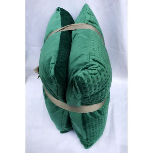 Country Club 2pc Embossed Velvet Throw Pillows - Green. Home Office Garden | HOG-HomeOfficeGarden | online marketplace