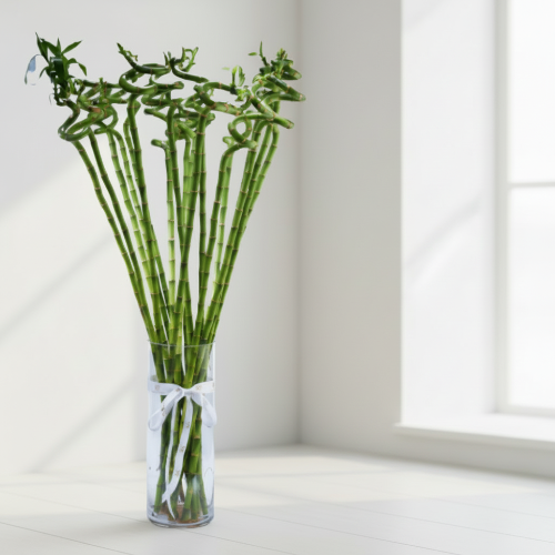 High-Quality Glass Vase (Vase Only)