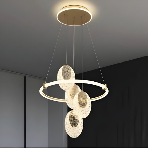 Modern Ring & Disc Pendant Ceiling Light @HOG - Home, Office, Online Marketplace