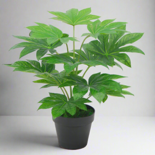 Artificial Mini Potted Japan Fatsia Plant Home Office Garden | HOG-Home Office Garden | online marketplace