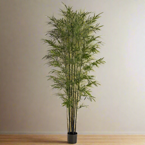 Natural Bamboo Tree Home Office Garden | HOG-Home Office Garden | online marketplace