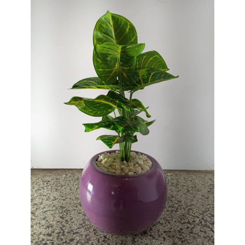 Purple fiberglass mini potted plants Home Office Garden | HOG-Home Office Garden | online marketplace