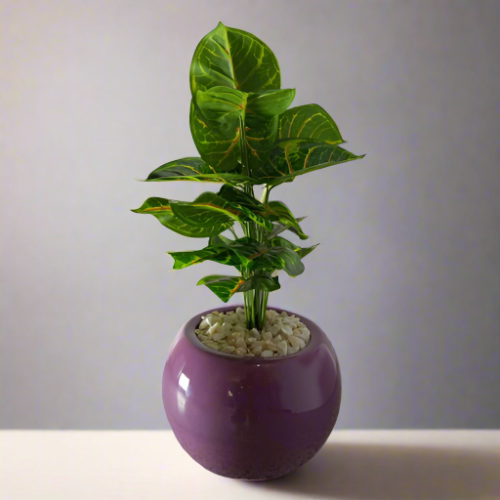 Purple fiberglass mini potted plants Home Office Garden | HOG-Home Office Garden | online marketplace