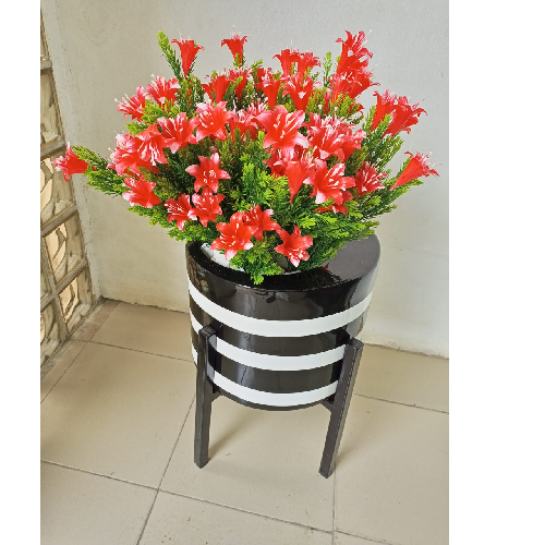 Belladonna Lily Flowers Potted With Black And White Strips Home Office Garden | HOG-Home Office Garden | online marketplace 