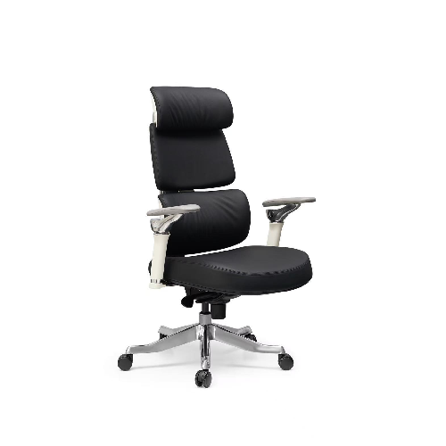 Ergonomic High Back Office Chair