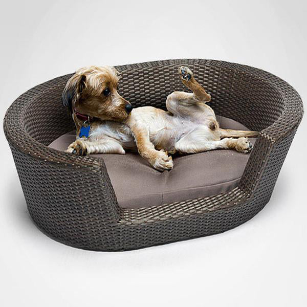 Outdoor_Furniture_Wicker_Dog_Basket @ Hog online marketplace