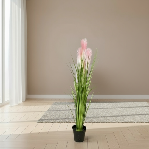 Reed Plant with Pink Flowers Only. @HOG - Home Office Garden Online Marketplace