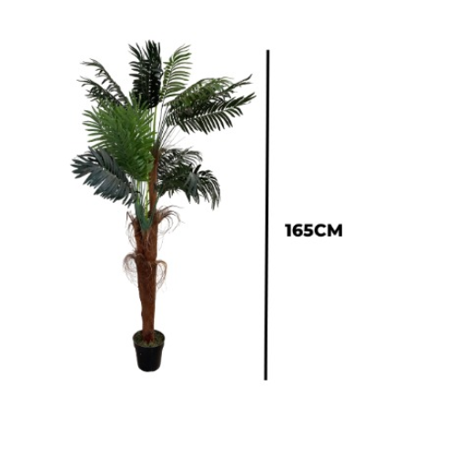 SHEATH PALM  Home Office Garden | HOG-Home Office Garden | online marketplace