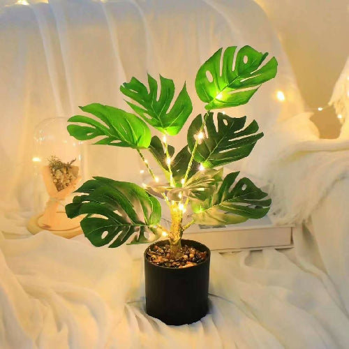 Stimulated LED plant