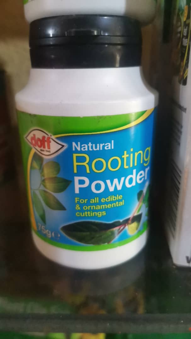 Doff Organic Rooting Powder