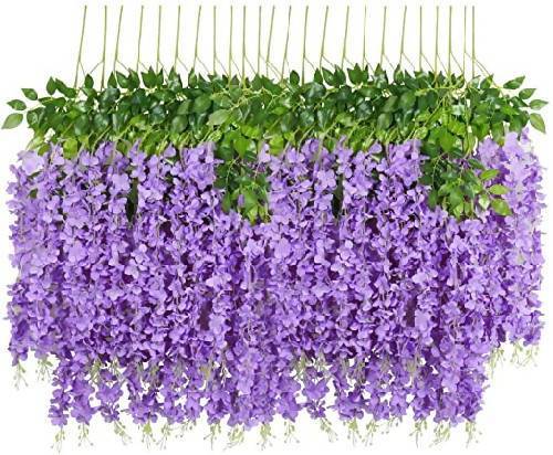 12pcs of Wisteria Plants for Decoration Home Office Garden | HOG-HomeOfficeGarden | online marketplace